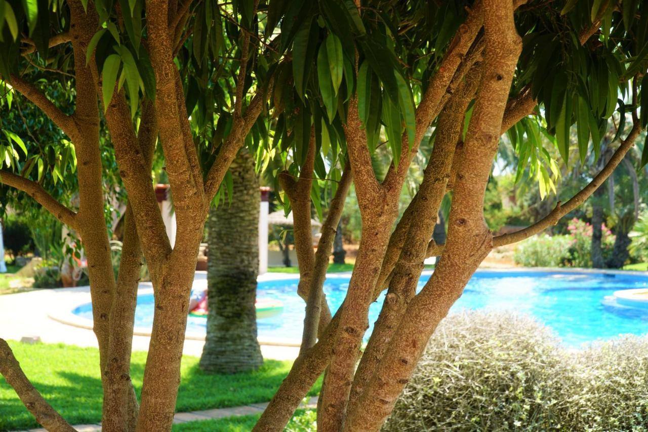 Agroturismo Finca Sa Tanca Cala d'Or  Exterior photo