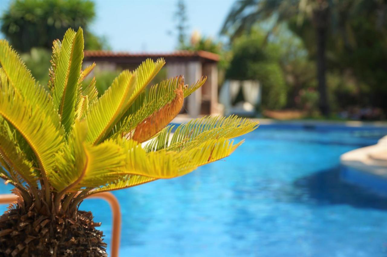 Agroturismo Finca Sa Tanca Cala d'Or  Exterior photo
